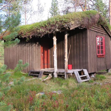 Hov Hyttegrend Viksdalen Стая снимка