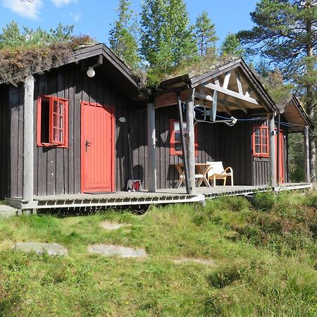 Hov Hyttegrend Viksdalen Стая снимка