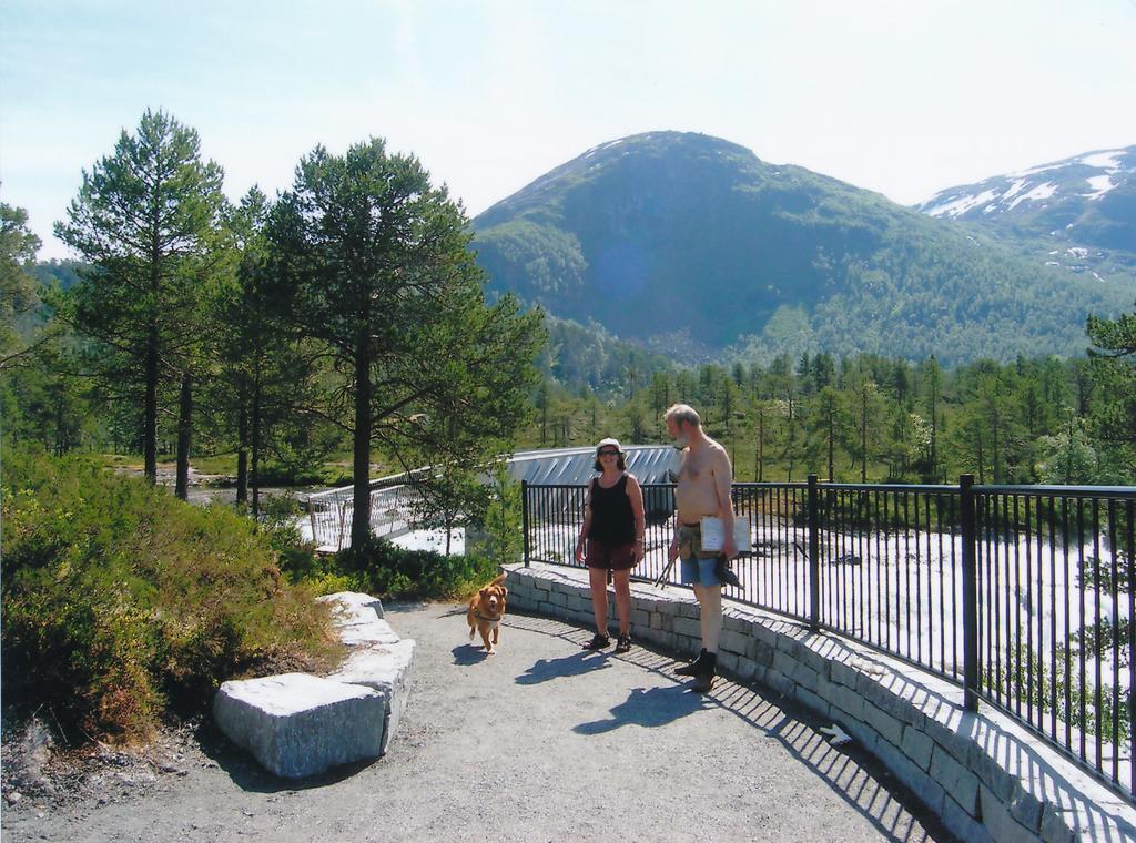 Hov Hyttegrend Viksdalen Екстериор снимка