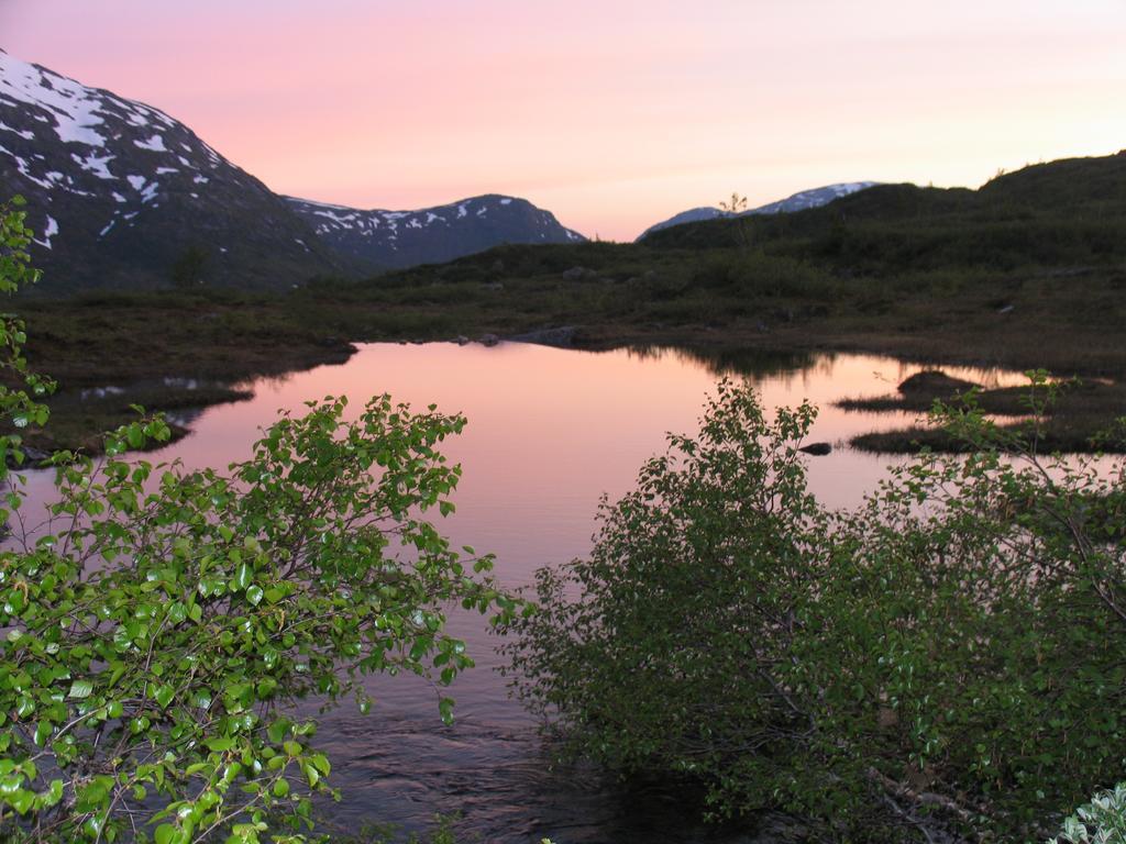 Hov Hyttegrend Viksdalen Екстериор снимка
