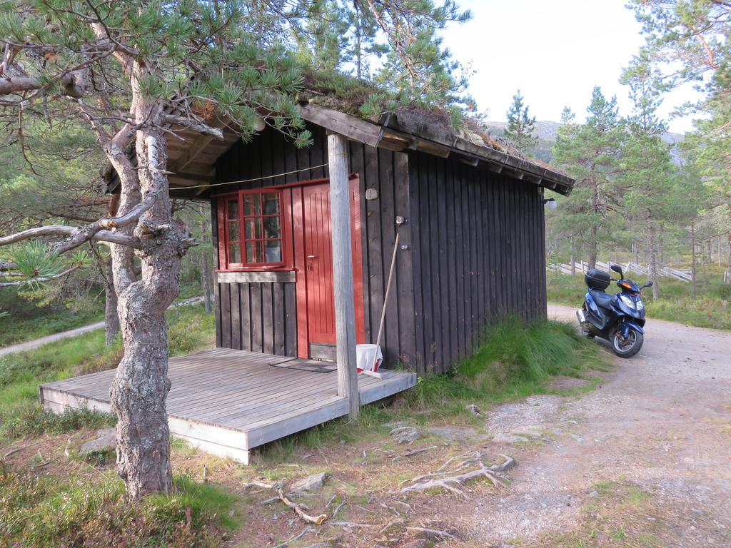 Hov Hyttegrend Viksdalen Екстериор снимка