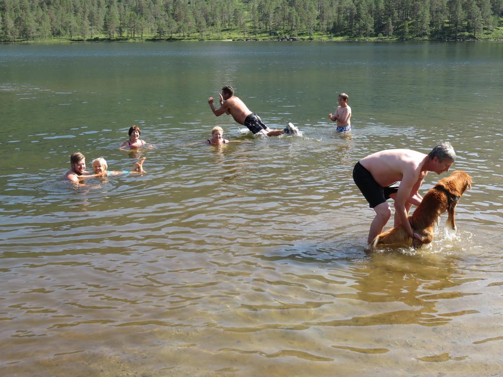 Hov Hyttegrend Viksdalen Екстериор снимка
